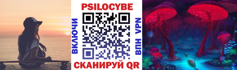магазин    Томск  это как зайти  Галлюциногенные грибы Cubensis 