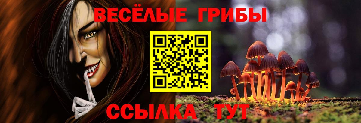 Галлюциногенные грибы Magic Shrooms Россия